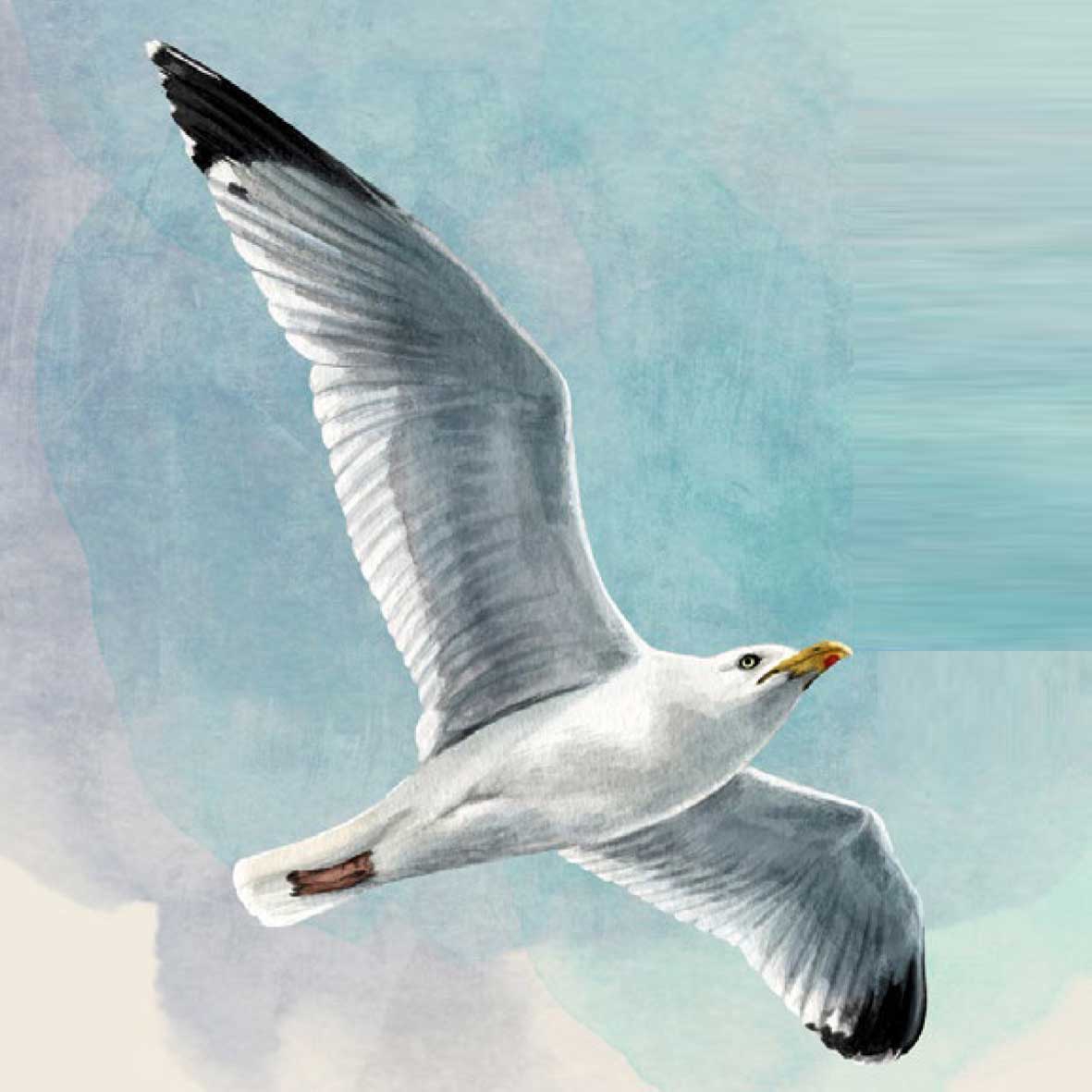 Servetel decorativ 'Seagull', 33cm
