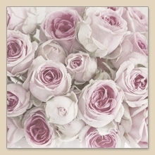 Servetel decorativ 'Powder-pink roses', 33cm