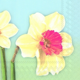Servetel decorativ 'Spring beauty', 33cm