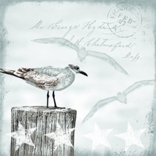 Servetel decorativ 'Seagulls', 25cm
