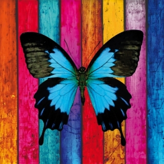 Servetel decorativ 'Paradise butterfly', 33cm