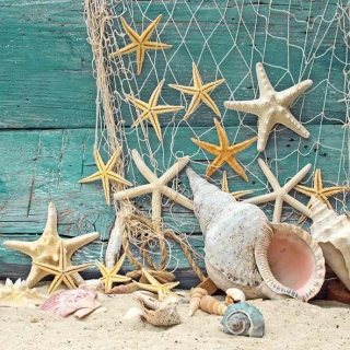 Servetel decorativ 'Starfish', 33cm