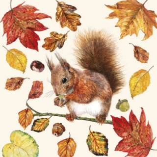 Servetel decorativ 'Little squirrel', 25cm