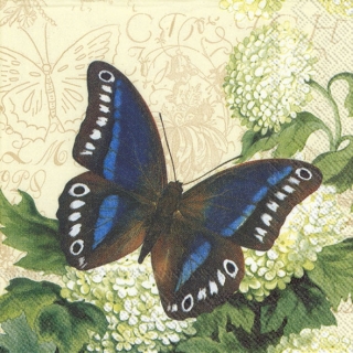 Servetel decorativ 'Summer butterfly', 25cm