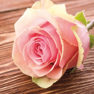 Servetel decorativ 'Rose passion', 33cm