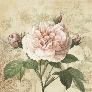 Servetel decorativ 'Vintage pink rose', 33cm
