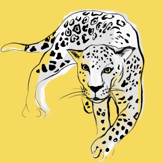 Servetel decorativ 'Graphic leopard', 33cm