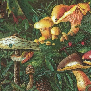 Servetel decorativ 'Forest mushrooms', 33cm
