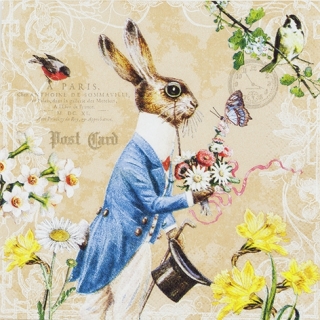 Servetel decorativ 'Mr Rabbit', 33cm
