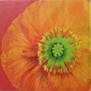 Servetel decorativ 'Bright poppy', 33cm