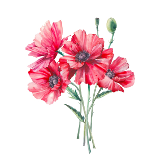 Servetel decorativ 'Poppy bouquet', 33cm