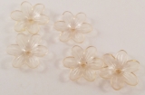 Set de 5 flori din plastic, vanilie transparent, 26mm