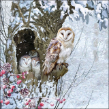 Servetel decorativ 'Barn owl', 33cm