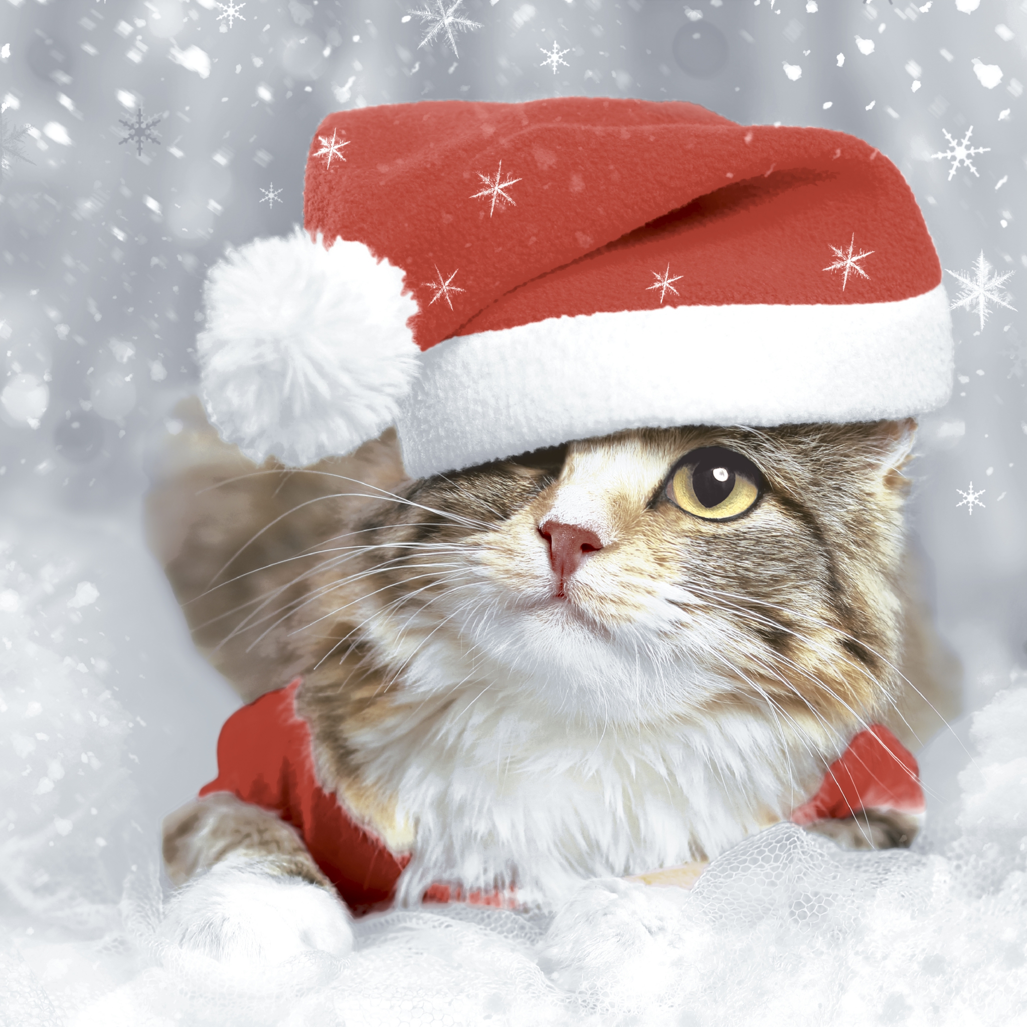 Servetel decorativ 'Christmas kitten', 33cm