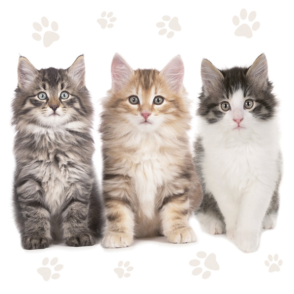 Servetel decorativ 'Three cats', 33cm