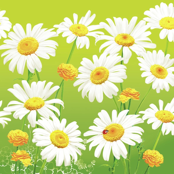 Servetel decorativ 'Lovely marguerites', 33cm