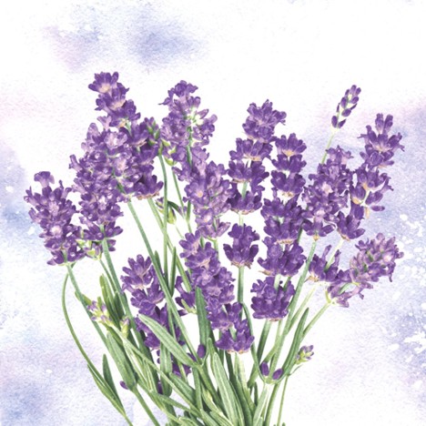 Servetel decorativ 'Lavender oasis', 33cm