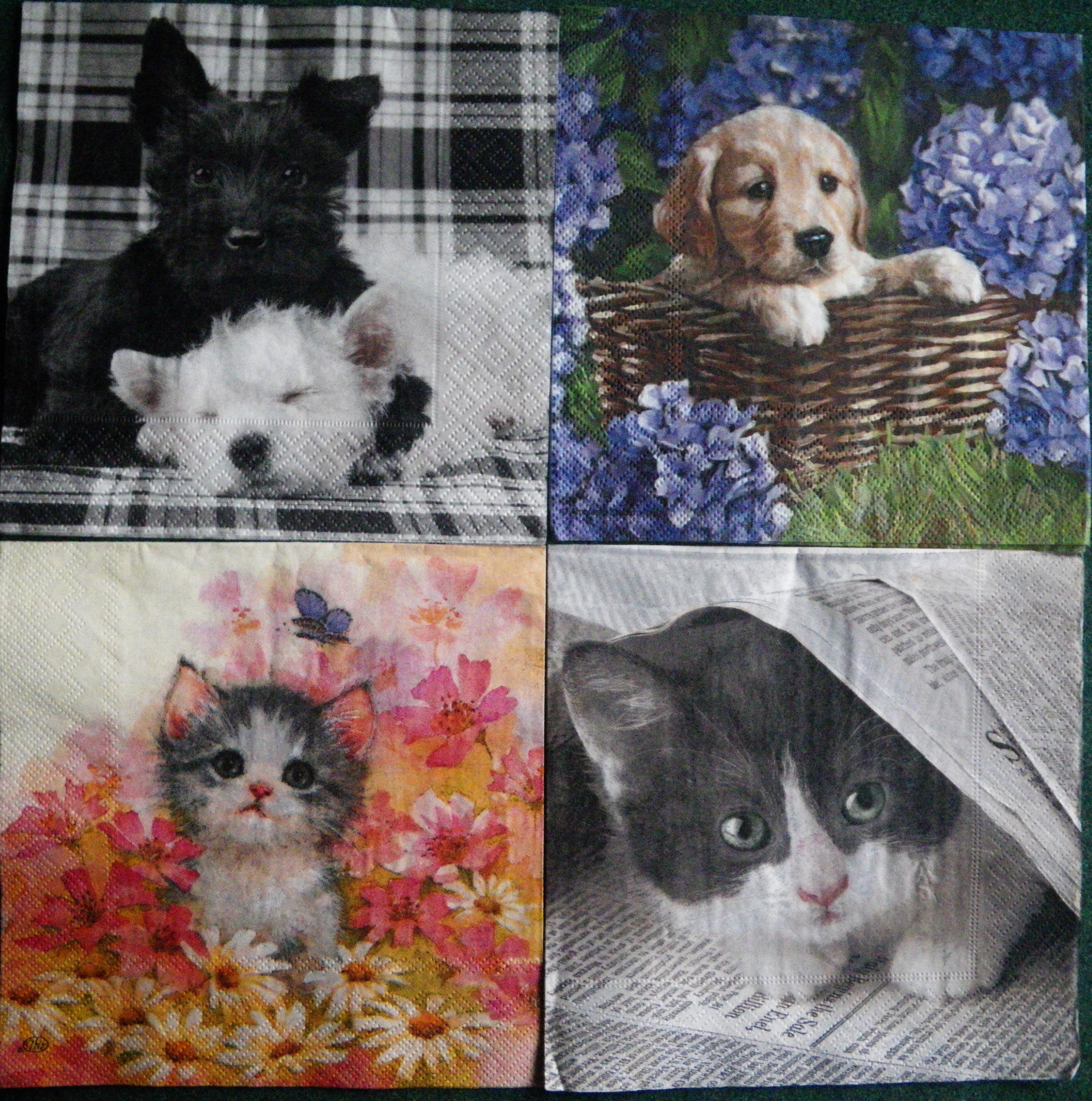 Set 125 - servetele decorative, 33cm