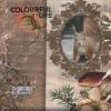 Servetel decorativ "Autumn greetings", 33cm