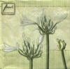 Servetel decorativ "Agapanthus green", 33cm