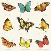 Servetel decorativ 'Collection of butterflies', 33cm