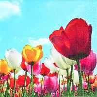 Servetel decorativ 'Field of tulips', 33cm