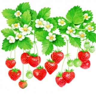 Servetel decorativ 'Summer fruits', 33cm