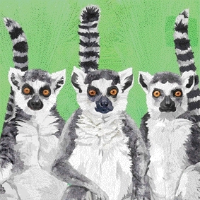 Servetel decorativ 'Lemur amigos', 25cm
