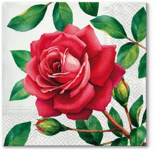 Servetel decorativ 'Special rose', 33cm