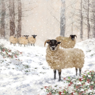 Servetel decorativ 'Highland sheep', 33cm
