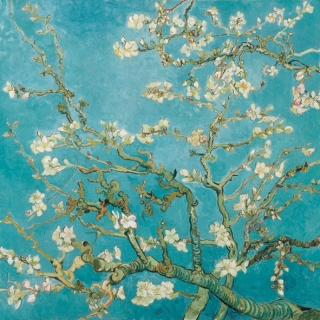 Servetel decorativ 'Almond blossom', 33cm