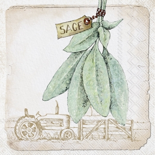 Servetel decorativ 'Sage cream', 33cm
