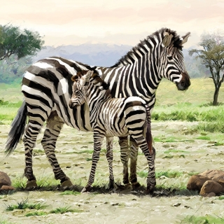 Servetel decorativ 'Zebras', 33cm