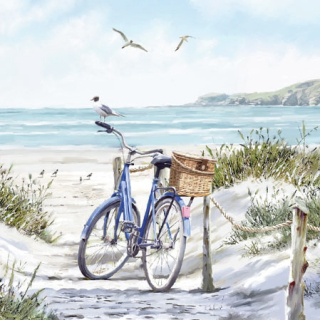 Servetel decorativ 'Bike at the beach',25cm