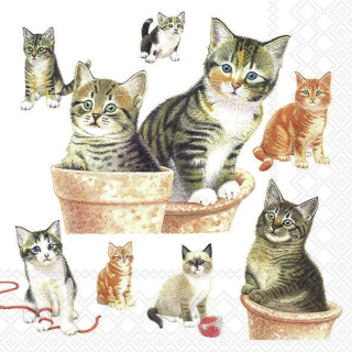 Servetel decorativ 'Cute kittens', 33cm