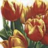 Servetel decorativ "Bunch of tulips", 33cm